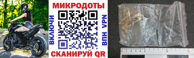 где можно купить наркотик  OMG маркетплейс  Псилоцибиновые грибы GOLDEN TEACHER  Элиста 